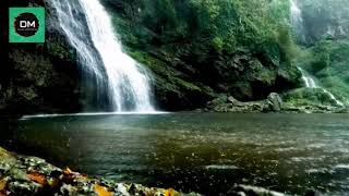 Riverflow | Ambient | Relaxing |English