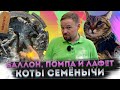 Карантин в Москве | Из Тбилиси в Москву