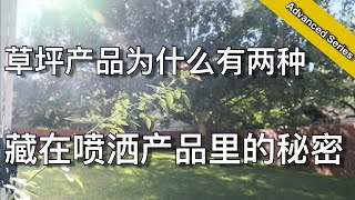 相同的产品为什么总有两种 - 喷洒型产品特有的秘密 - 看完你就明白了 - Spray or Granular lawn products | KK和 Kathy 的后花园