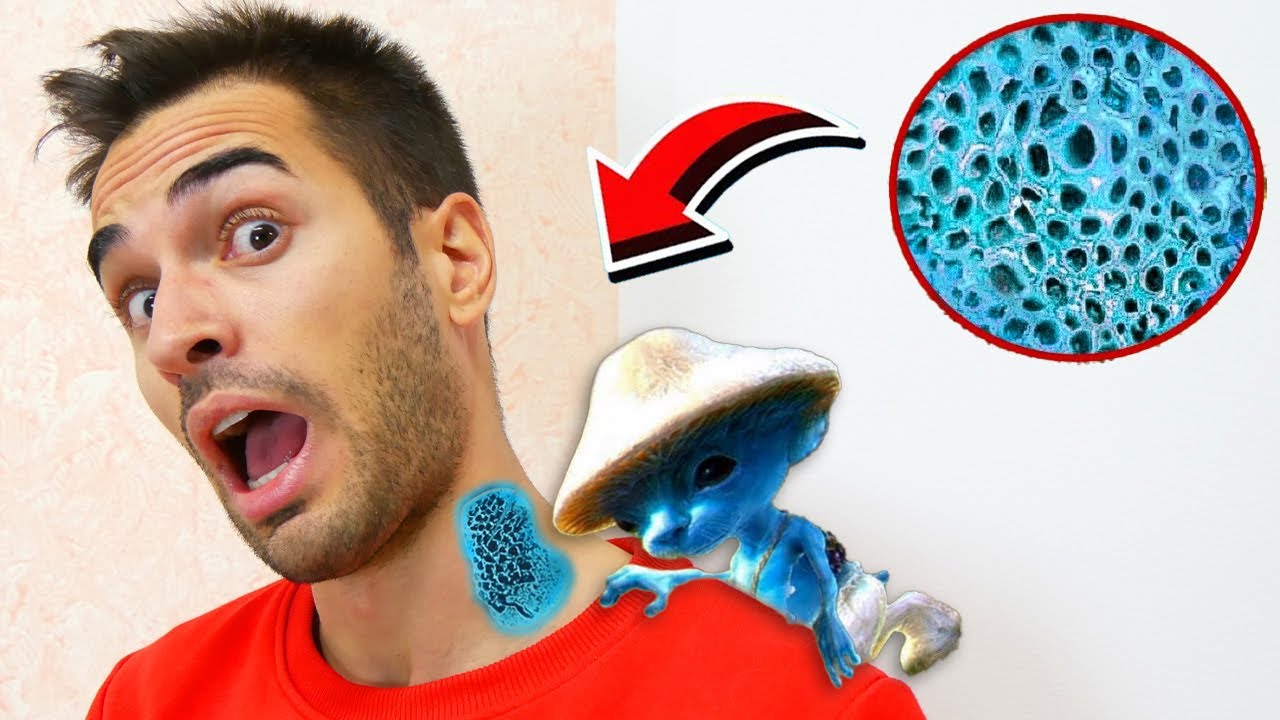 LO SMURF CAT HA MORSO MOLLY!!