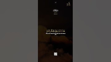 كل أمة تدعى إلى كتابها اليوم | خالد الجليل || سورة الجاثية