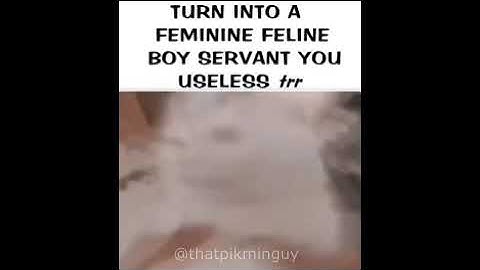 toontown speedchat plus