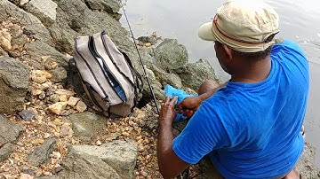 Câu cá sông suối. Câu cá trạch thế này mới phê chứ.