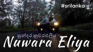 නුවරටම එලිය වැටෙන.... | Nuwara Eliya | Travel Vlog #12