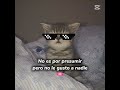 que día de suerte XD✨🖤🤍💅 #cat #xd #roblox #edit