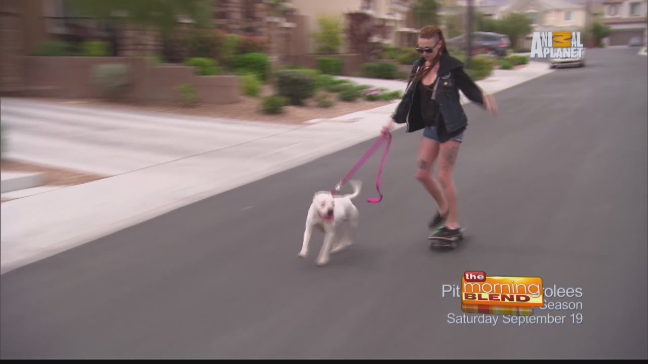 Pit Bulls and Parolees