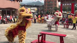 小獅子謝謝神明保佑