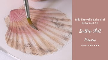 Scallop Shell - Preview with Billy Showell ⎮Watercolour Beautiful