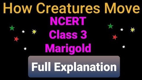 Class 3 || NCERT || Marigold || How Creatures Move||Full Explanation with visual aids