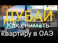 Как снимать квартиру в ОАЭ 2020, жизнь в Дубае 2020, влог рабочий день Дубай 2020