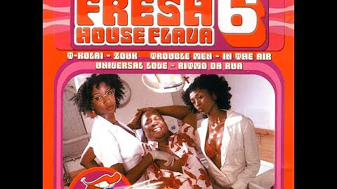 Fresh House Flava 6 - Mixed by DJ Fresh [2003]