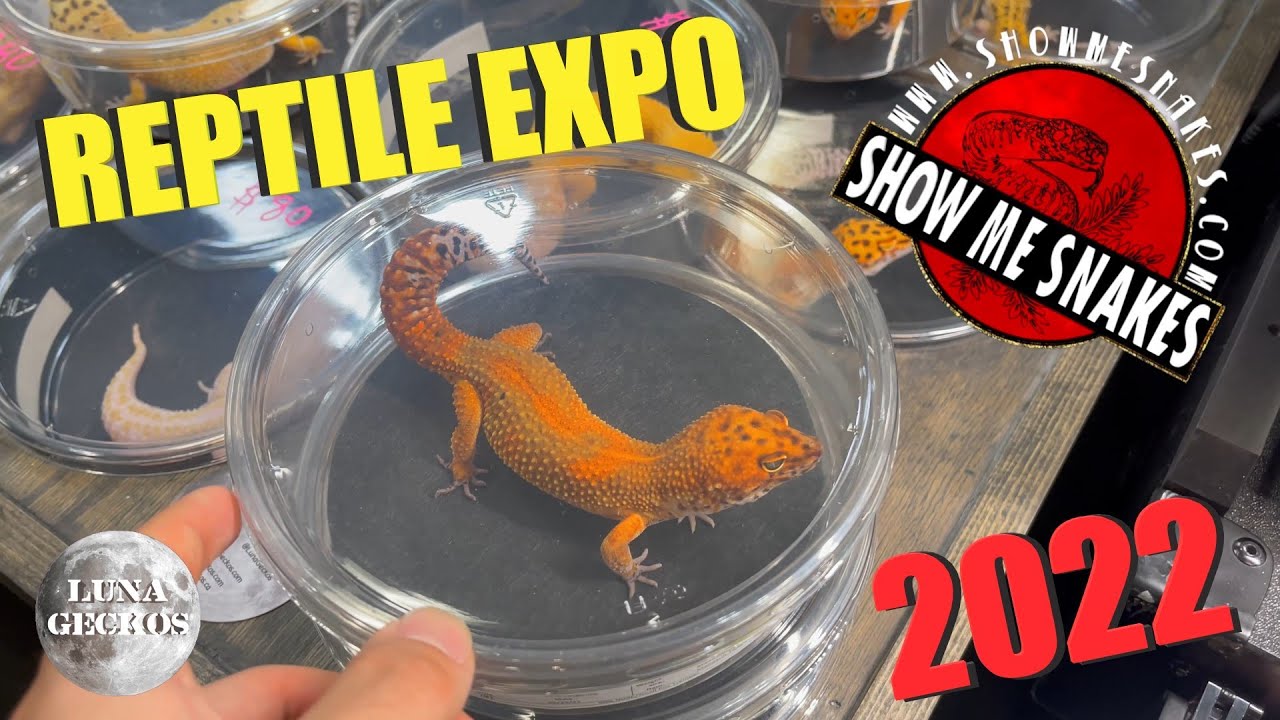 2022 SHOW ME SNAKES & EXOTICS | JANESVILLE WI | March 5 - YouTube