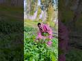 Sarson ke Saag ki kheti #trending #youtube #minivlog ##vairalvideo #minivlog #vlog #vairal #video