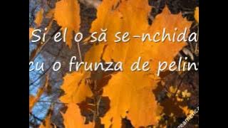 Nicu Alifantis - Emotie de toamna ( Versuri )