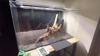 Setting up new 50g SeaClear Planted Tank Beginner Aquascape (Fluval Stratum, ADA substrate) Part 1
