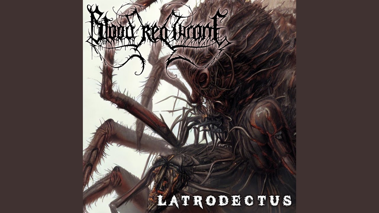 Watch Latrodectus on YouTube Watch Latrodectus on YouTube