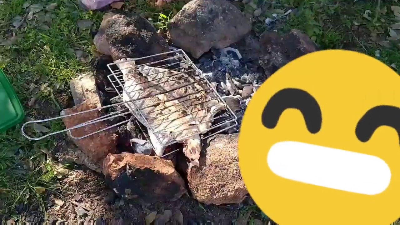 علاش مشيت للغابة،🤔 و اكلة صحية يا سلاااام،👌👌