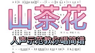 彪歌音乐课堂：邓丽君《山茶花》歌曲简谱，人声打拍示范学唱