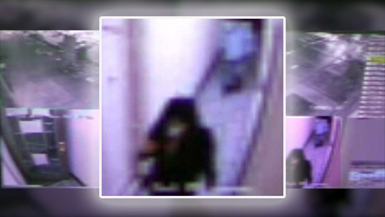 Christina Yuna Lee surveillance video shows suspect following her into  apartment, moments before her tragic death