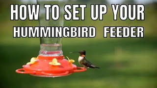 How to Set Up Your Hummingbird Feeder the Right Way