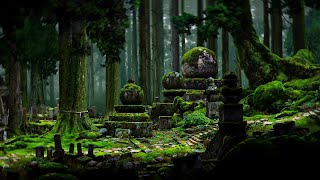 Enchanted Forest ~ Memories From The Past 🧚‍♀️✨