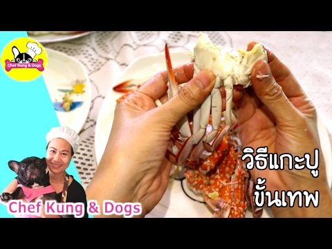 วิธีแกะปู ขั้นเทพ |CHEF KUNG & DOGS ✔︎