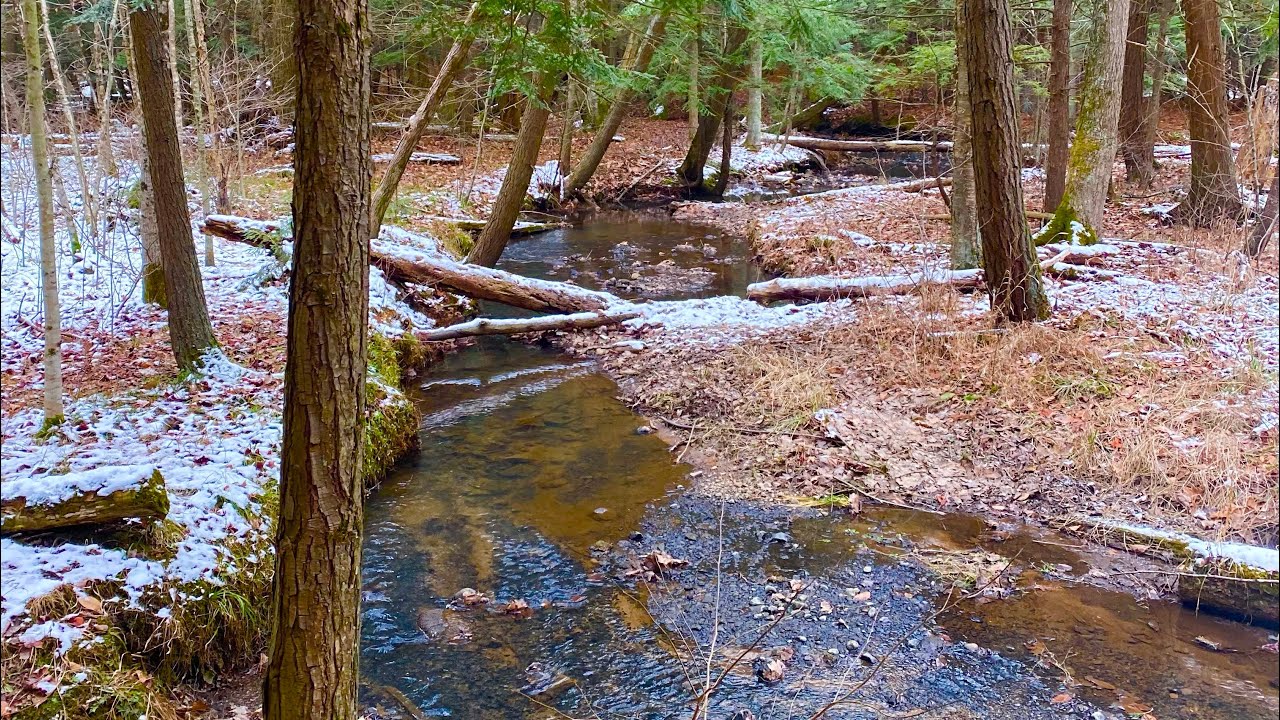 Murphy Lake State Park Michigan 2021 YouTube