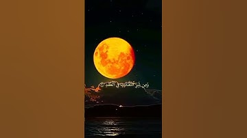 القرآن الكريم سورة الفلق #سعد_الغامدي