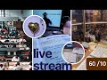 Live streaming of QBS