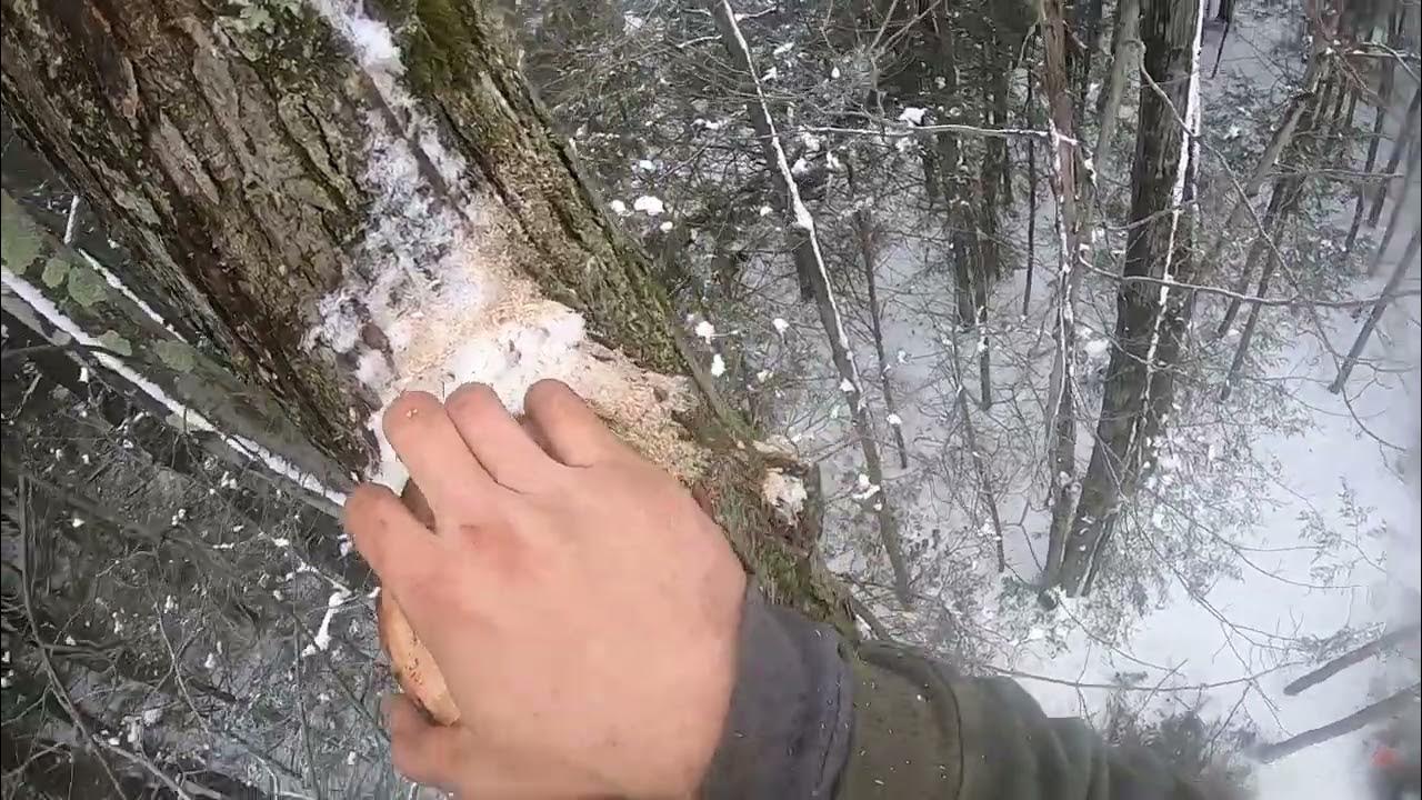 Starting a New Logging Job in Troy PA YouTube