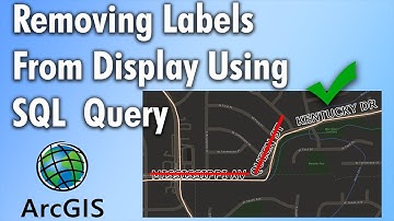 Removing Labels From Display Using SQL Query (2 minutes) | ArcGIS Pro