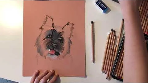 Cairn Terrier - Pastel Portrait (2)