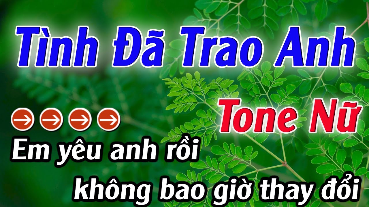 Karaoke Tình Đã Trao Anh Karaoke Tone Nữ Beat Hay Nhất 2025 Karaoke Mê Nhạc Sống