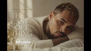 Chris Brown - The Last Soft Thing screenshot 5