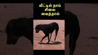 வீட்டில் நாய் சிலை வைத்தால்