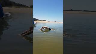 islas colon entre rios