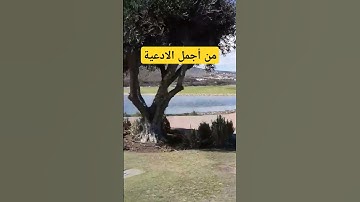 دعاء التوكل على الله#اذكار_المساء #دعاء_الرزق #اذكار_الصباح #أذكارالنوم #ترند #دعاء #دعاء_الصباح