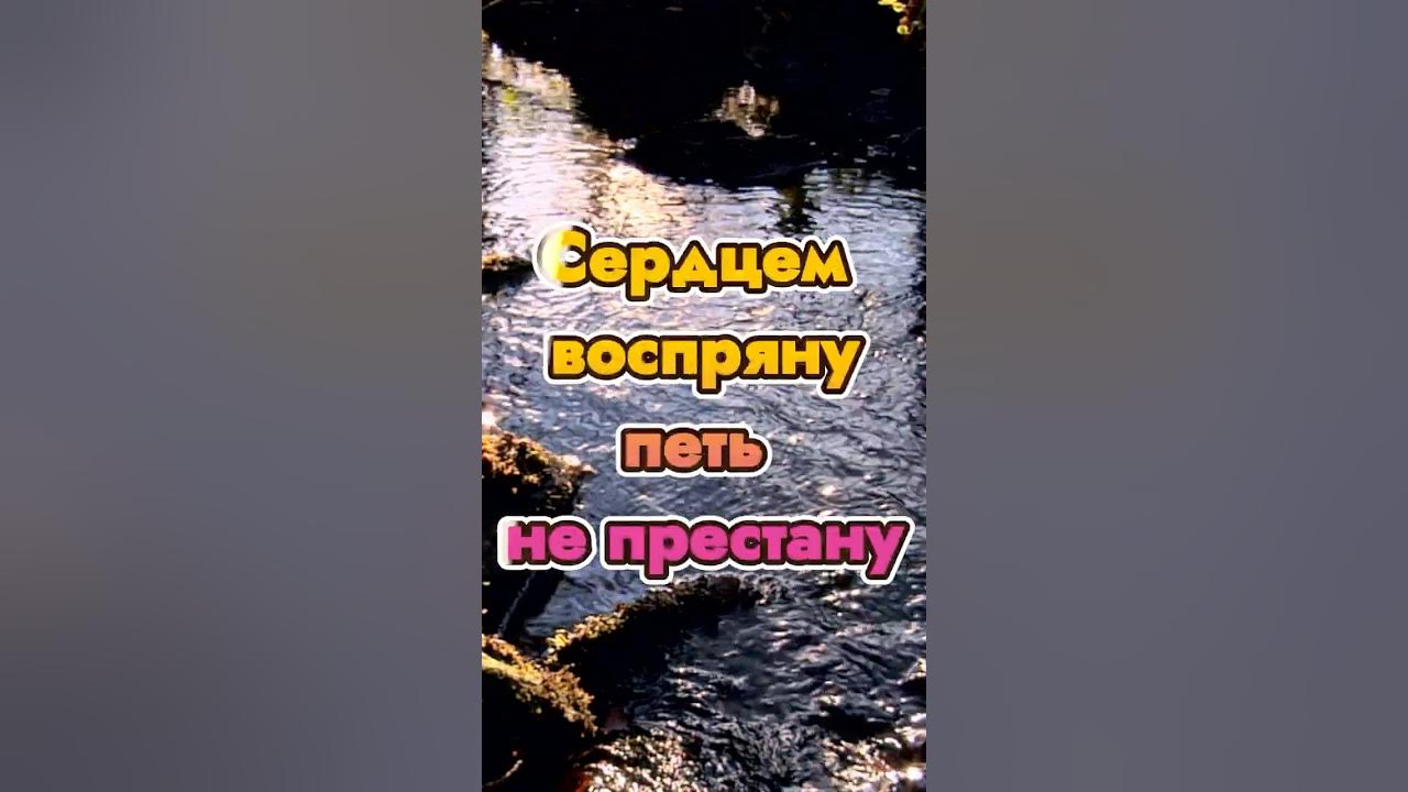 Сердцем воспряну, петь не пристану | Христианская песня | Slovo Davida#shorts2025 #песнипоклонения