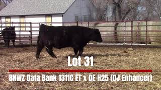 Lot 31  BNWZ Data Bank 1311 C x DE H25 DJ Enhancer