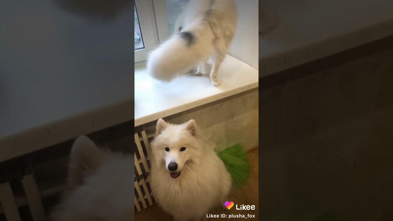 30 мая 2020 г. - YouTube