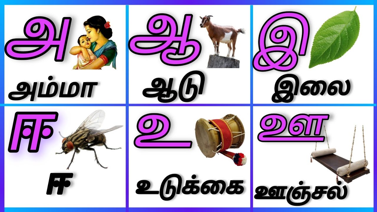 அஆஈஈ/உயிர்லெச்சுக்கள்/Uyireluthukkal/Тамильские алфавиты для детей @PEEKABOO-ff8wq #uyireluthukkal