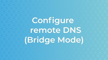 Remote DNS Bridge Mode