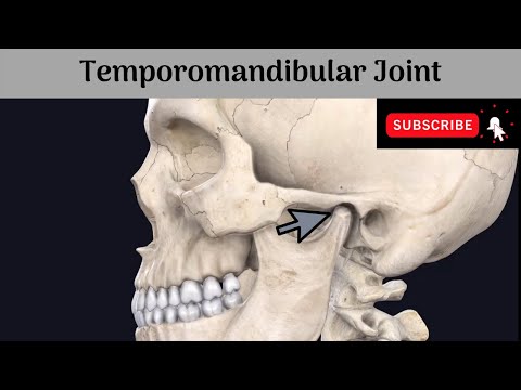 Temporomandibular Joint - Type | Variety | Articular  Surfaces | Ligaments | Relations | NerveSupply