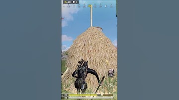 Quick sweaty Squad wipe 1v4  #codmobile #callofduty #codmanniversary #callofdutymobile  #squadwipe