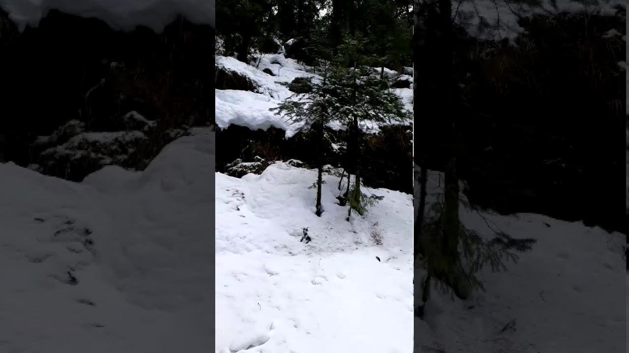 Dalhousie snow fall 29 JUN 2020 YouTube
