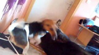 Meine Beiden Prinzessinen Mein Leben. -