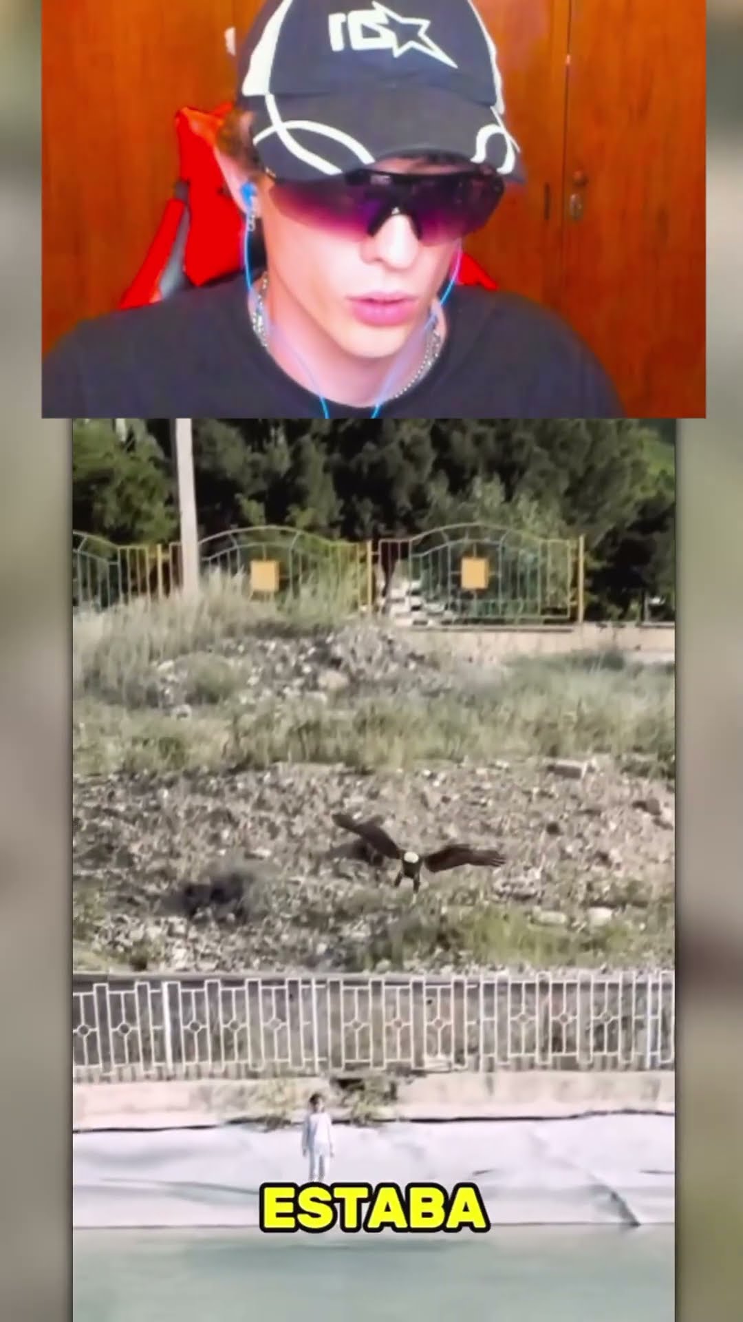 ÁGUILA ataca a un CHICO☠️?