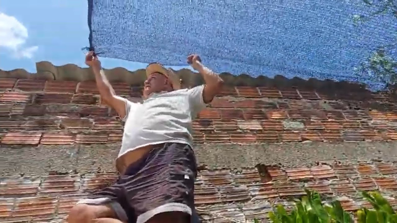 COLOCANDO UMA TELA DE SOMBRITE PARA MELHORAR AS PLANTAS