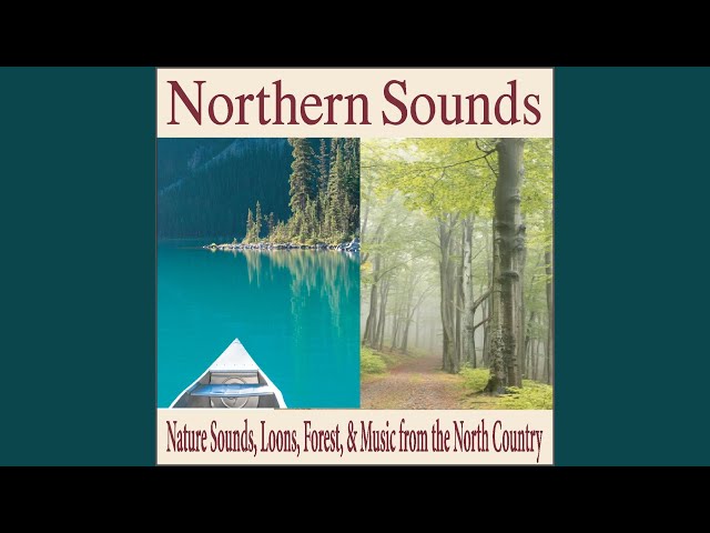 Robbins Island Music Group - Loon Sounds With Piano Answers