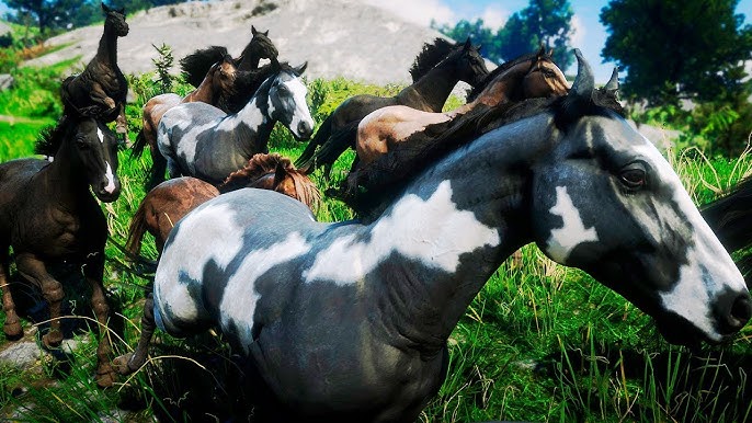 Família de Cavalos Selvagens + De Volta ao Lar! LOBOS!, Red Dead  Redemption 2: Animais Mod